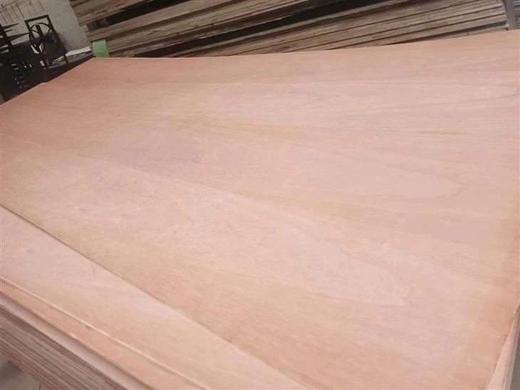 Red Cedar Plywood Wood Veneer Multi Layers Board For Furniture/Ceiling/Wall Decoration